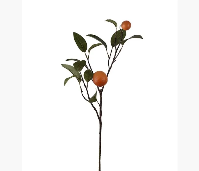 Apelsinkvist 60 cm kuva