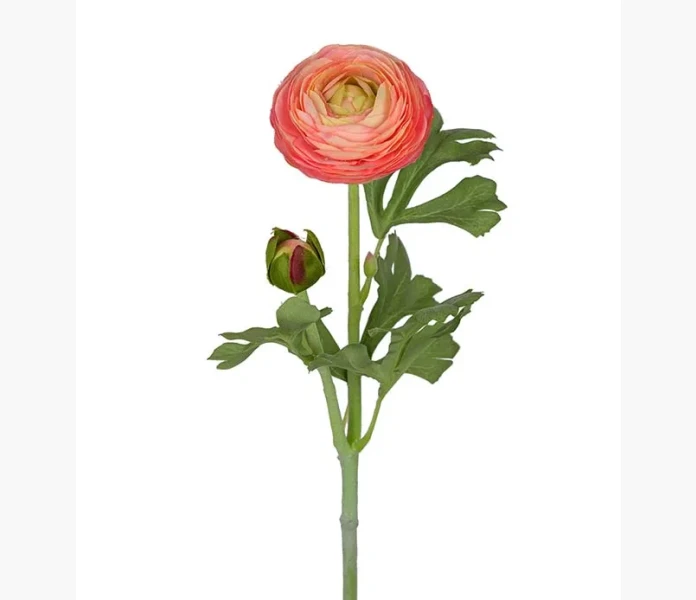 Ranuncel rosa 35 cm kuva