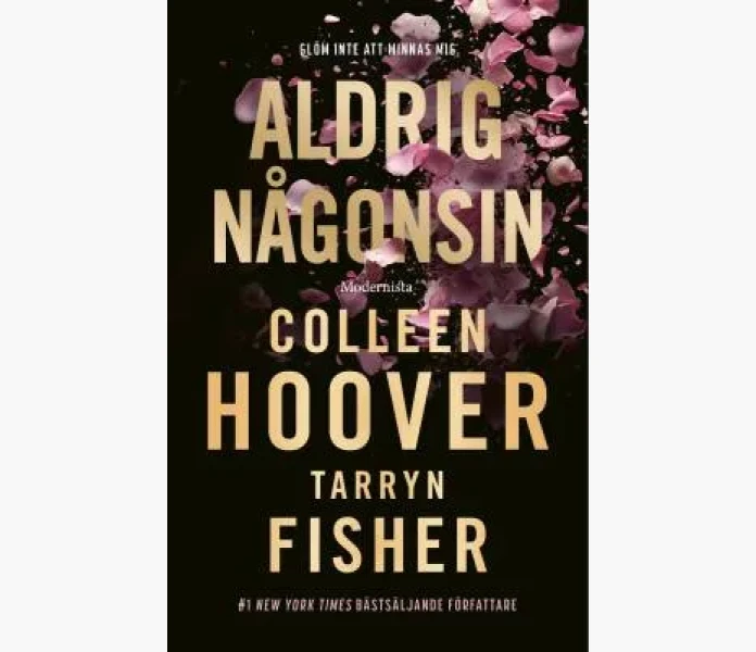 Aldrig nagonsin kuva