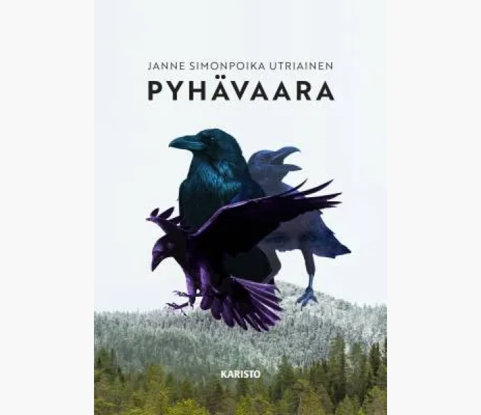 pyhavaara kuva