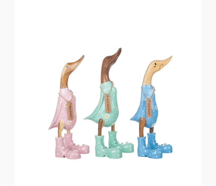 Anka Molly med vanner image