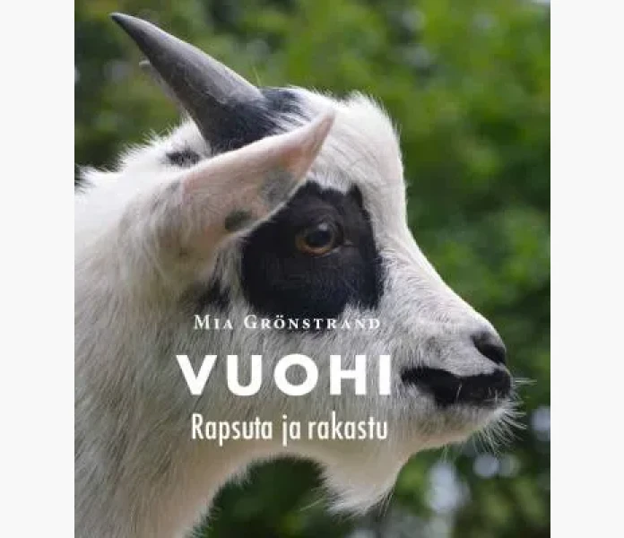vuohi kuva