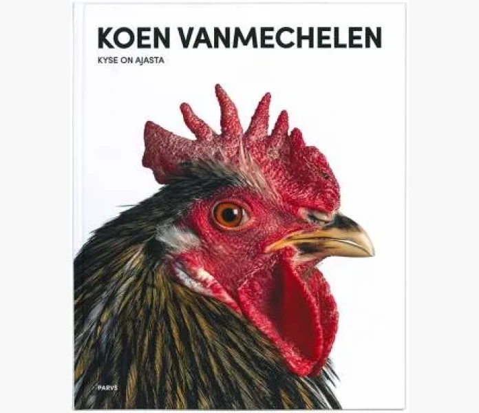 Koen Vanmechelen image