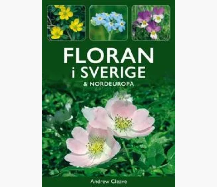 floran i sverige nordeuropa kuva
