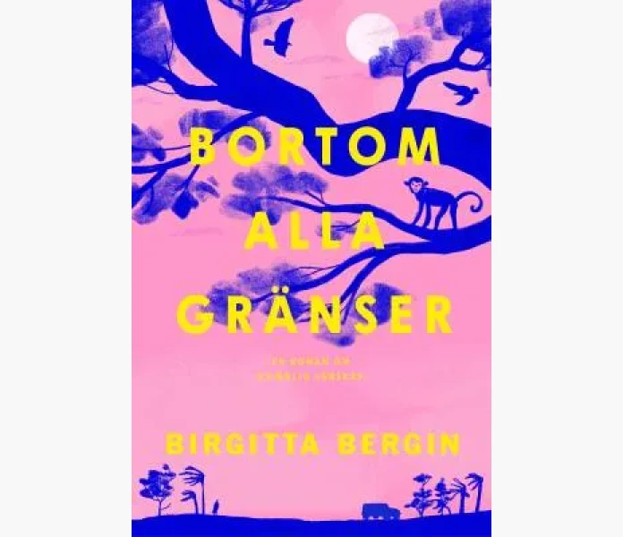 Bortom alla granser del 2 image