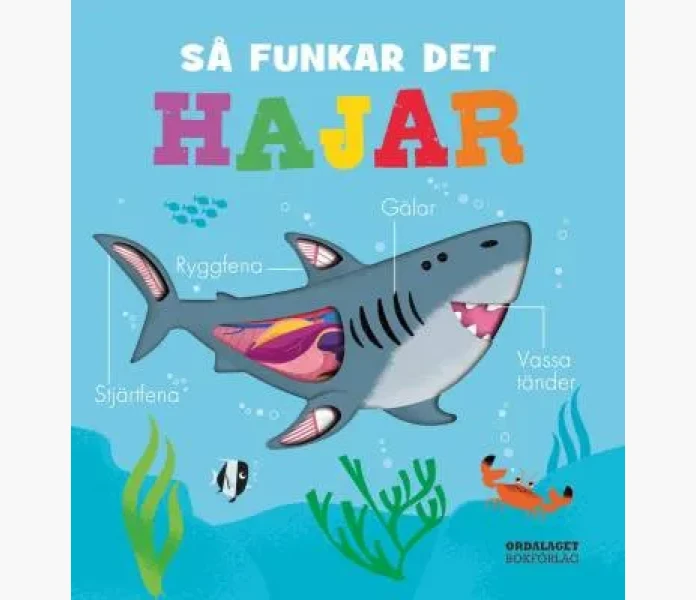 Sa funkar det hajar kuva