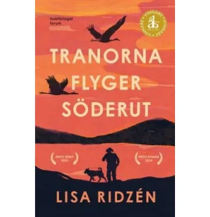 Tranorna flyger söderut image