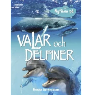 Nyfiken på valar och delfiner, 6-9 år kuva
