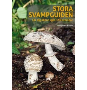 Stora svampguiden. Lär dig känna igen 150 svampar kuva