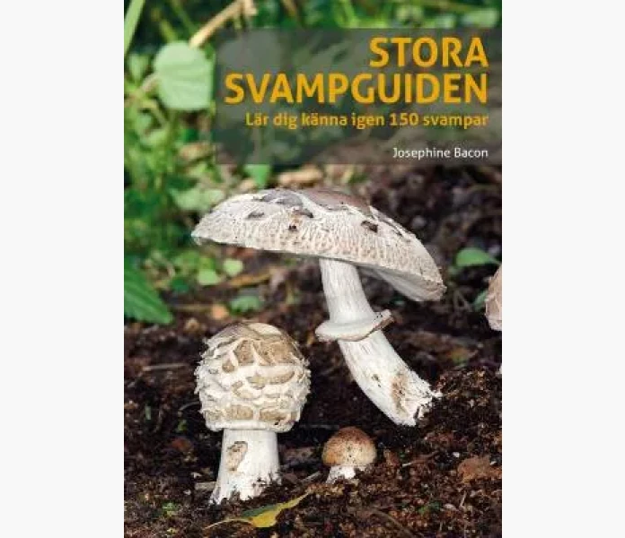 Stora svampguiden  Lar dig kanna igen 150 svampar image