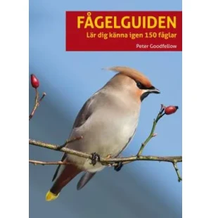 Fågelguiden kuva