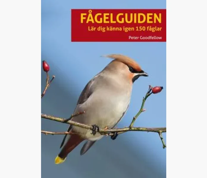 Fagelguiden image