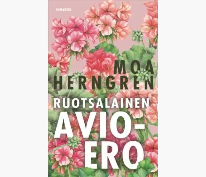 Ruotsalainen avioero image