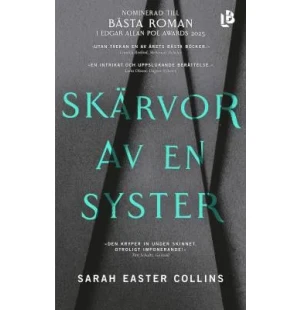 Skärvor av en syster image