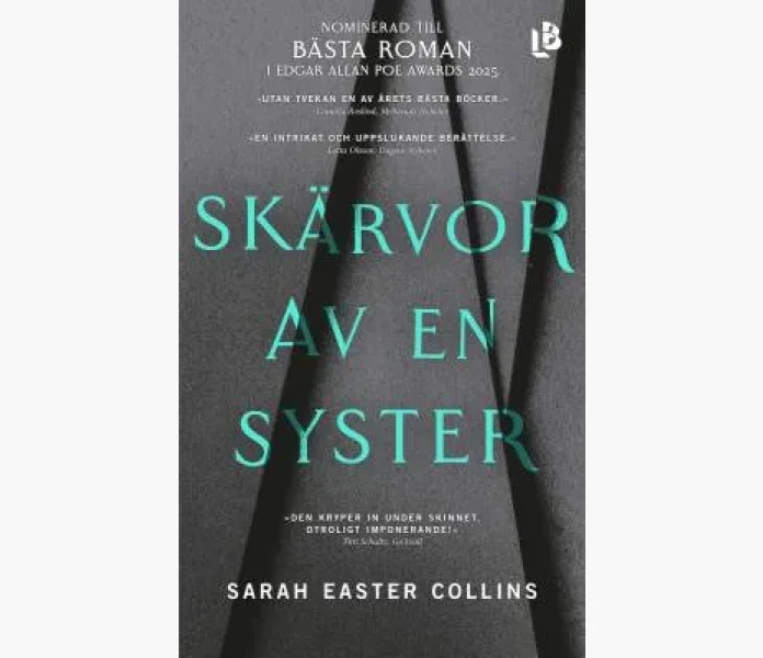 Skarvor av en syster image