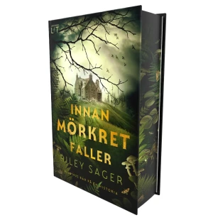 Innan mörkret faller image
