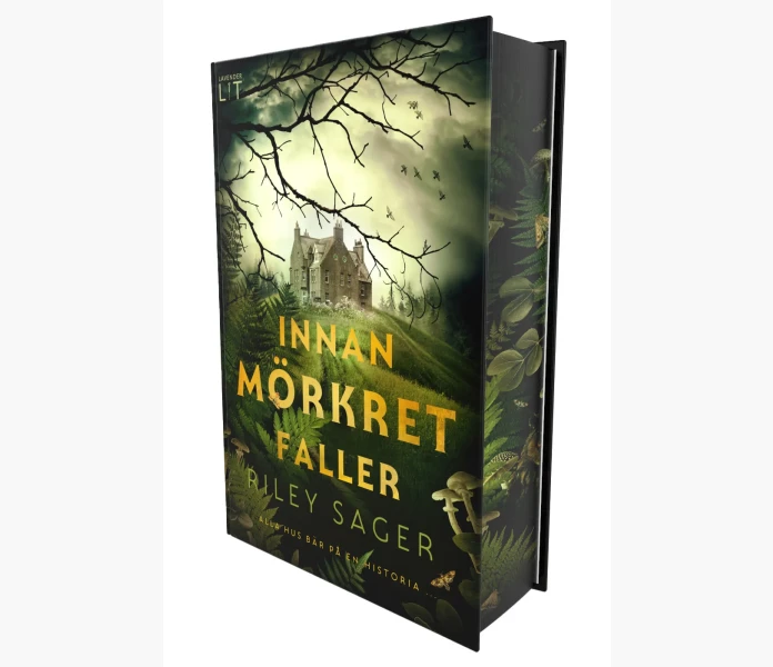 Innan morkret faller image