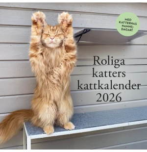 Roliga katters kattkalender 2026 image