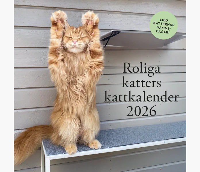 Roliga katters kattkalender 2026 image
