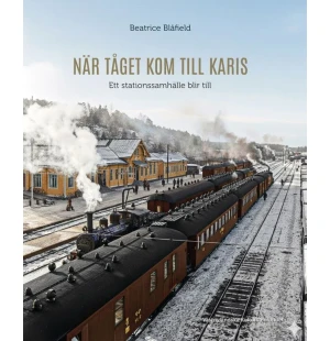 När tåget kom till Karis -25 kuva