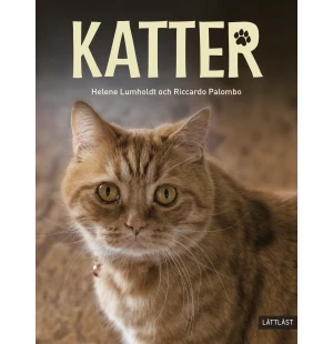 Katter image