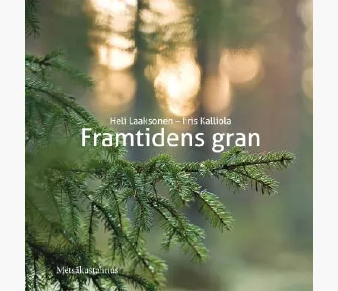 framtidens image