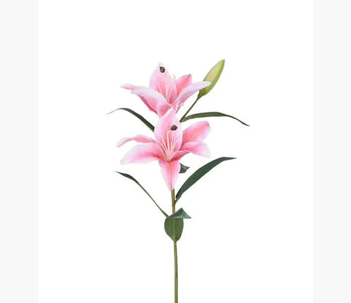 Lilja rosa 60 cm image