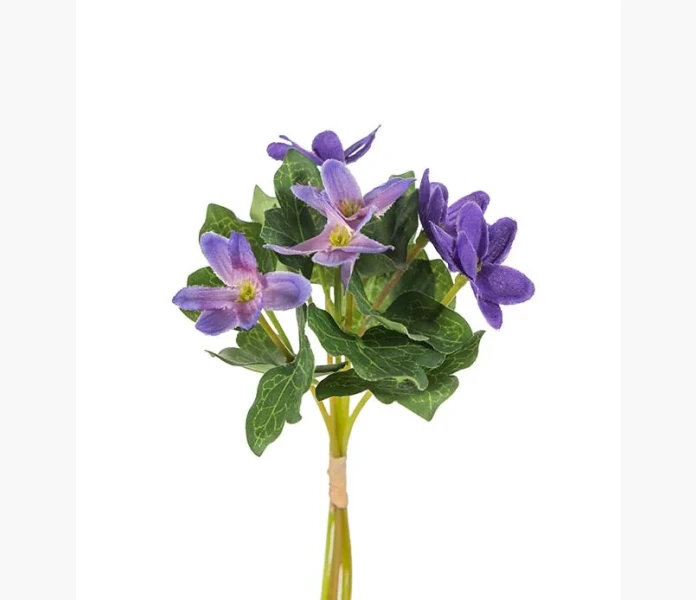 Blasippa 18 cm image