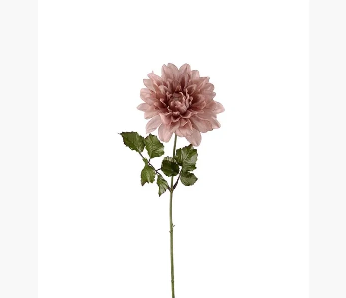 Dahlia 45 cm image
