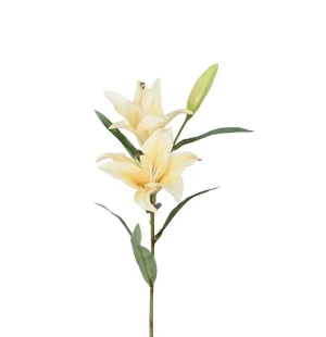 Lilja, vit 60 cm image