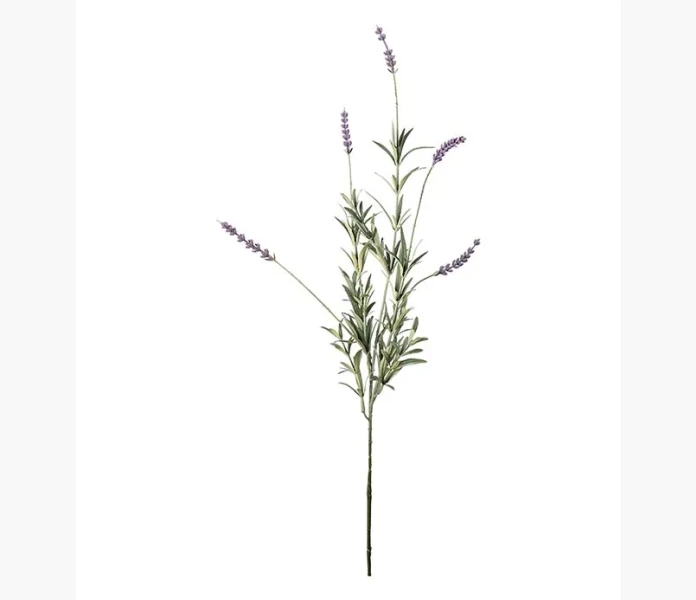 Lavendel image
