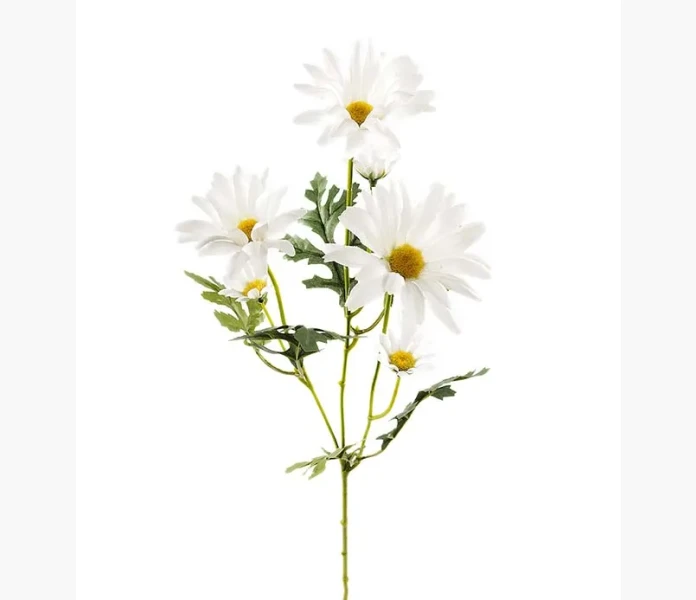 Prastkrage 50 cm image