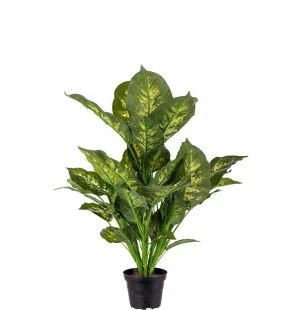 Prickblad, 55 cm image