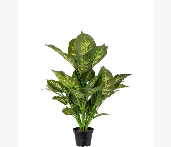 Prickblad 55cm image