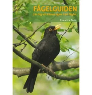 Fågelguiden, lär dig känna igen 150 fåglar image