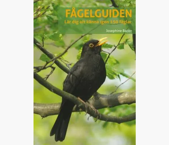 Fagelguiden lar dig kanna igen 150 faglar kuva