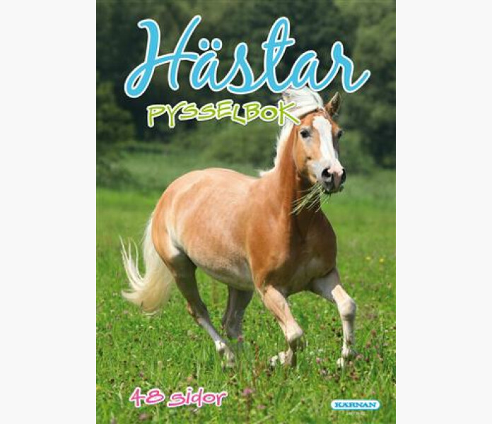 PYSSELBOK HASTAR kuva