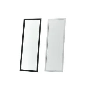VÄGGSPEGEL 30x90cm kuva