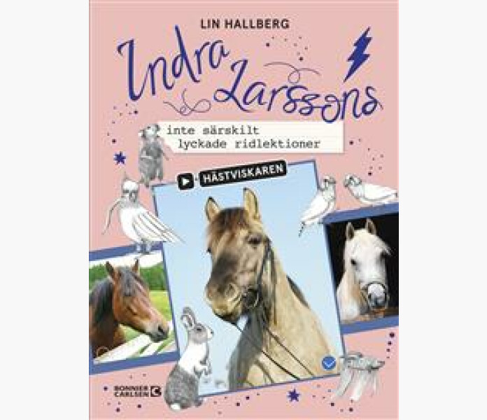 Inte sarskilt lyckade ridlektioner image