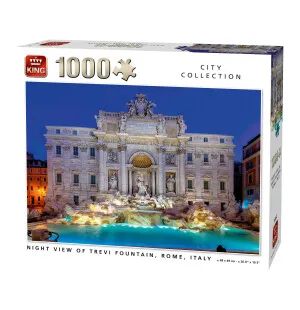 Night View Fountain, Rome, Italy 1000 pc image