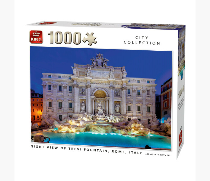 Night View Fountain Rome Italy 1000 pc kuva