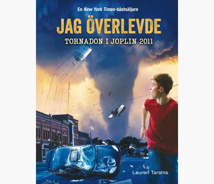 Jag overlevde tornadon i Joplin 2011 image