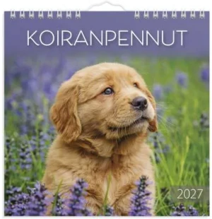 Koiranpennut 2027 image