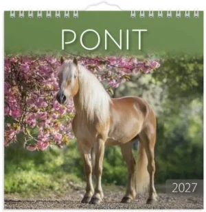 Ponit 2027 image
