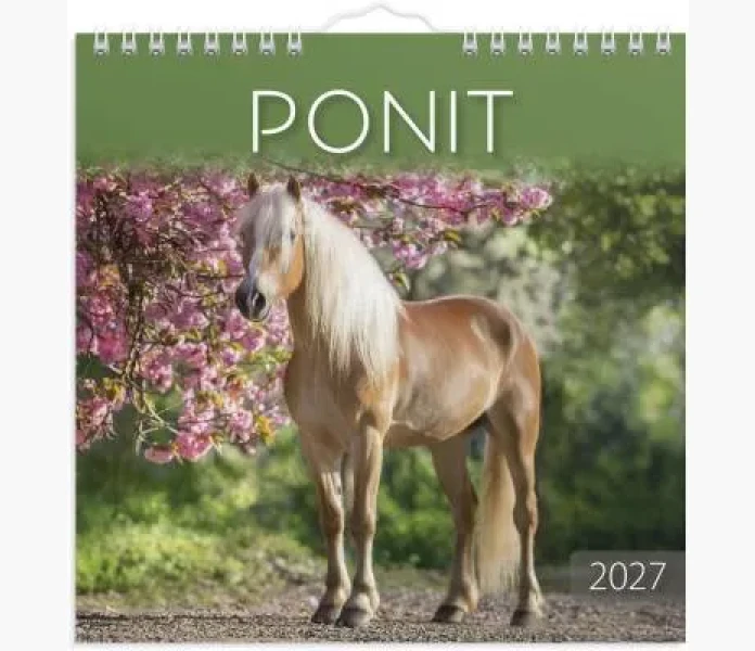 Ponit 2027 image