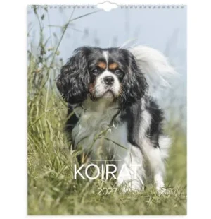 Koirat 2027 image