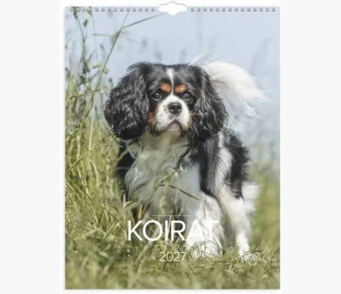 Koirat 2027 image