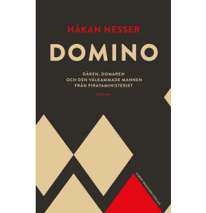 Domino: Dåren, domaren och den välkammade mannen kuva