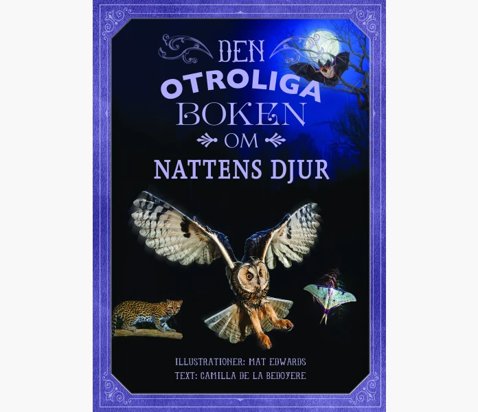Den otroliga boken om nattens djur 6 9 ar image