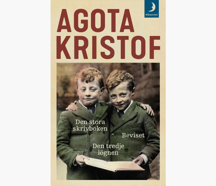 DEN STORA SKRIVBOKEN BEVISET DEN TREDJE LOGNEN image